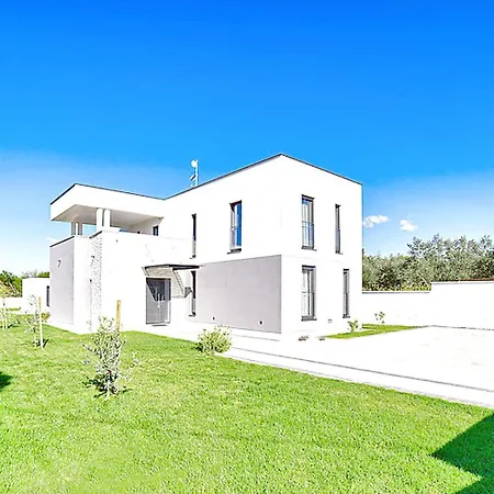 Splendid Holiday Homepula *